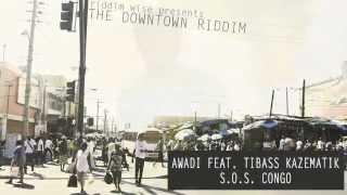 Awadi feat Tibass Kazematik  SOS Congo The Downtown Riddim  Riddim Wise [upl. by Liamaj214]