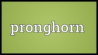 Pronghorn Meaning [upl. by Vigor]