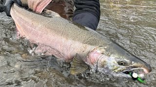 High Water Salmon Fishing Tips amp Tricks Small Rivers amp Creeks [upl. by Iaht]