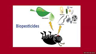 Biopesticides Part 1 [upl. by Thgiwed]