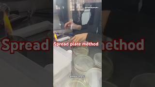 Spread plate method  peptone water  Antibiotic sensitivity test mltmbbsbiotechnologylab [upl. by Goetz]