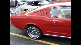 1965 MUSTANG 2  2 FASTBACK  A NEW TYPE OF PONY CAR [upl. by Polik630]