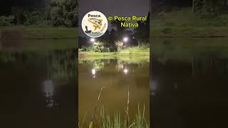 Pesca de tilapia [upl. by Edak]