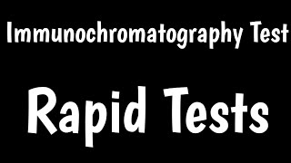 Rapid Tests  Immunochromatography Test  Lateral Flow Assay [upl. by Grevera977]