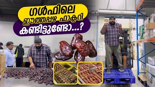 ഈത്തപ്പഴ ഫാക്ടറി കണ്ടിട്ടുണ്ടോ  dates uae [upl. by Sadie]