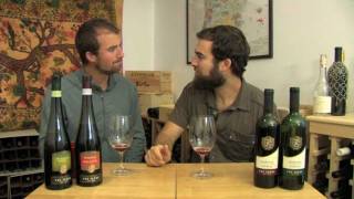 The Wine Brothers  Value wines from Piedmont [upl. by Gabbie900]