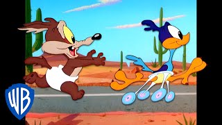 Looney Tunes  Baby Wile E Coyote and Baby Road Runner  Classic Cartoon  WB Kids [upl. by Zamora]