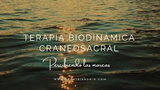 TERAPIA BIODINÁMICA CRANEOSACRAL [upl. by Adierf609]