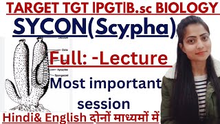 UPTGTPGTBSC BIOLOGYSYCONfull lacture uptgtbiologytopicwiseclasesBy priyal bhati [upl. by Asilrak]