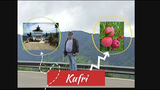 Visit to kufri in Shimla [upl. by Ganley164]