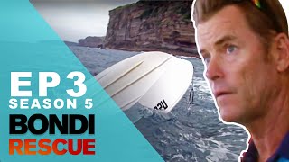 Bondi Vet Visits Thailand 🐵  Bondi Vet Season 5 Ep 18  Bondi Vet Full Episode  Bondi Vet [upl. by Aehtorod]