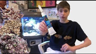 Where and How To Place Corals in a Reef Tank  Using Coral Glue [upl. by Gignac294]