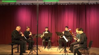 Haydn  Divertimento DDur HobIID18 [upl. by Eelreveb577]