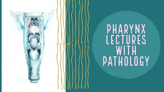 PHARYNX lecture 4 HYPOPHARYNX in deatil and PYRIFORM fossa complete explanation [upl. by Tumer325]