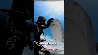 Sharks  Shark Attacks  Shark and Mane  why Shark is not attacking scooba Diver shark fact [upl. by Ogait]