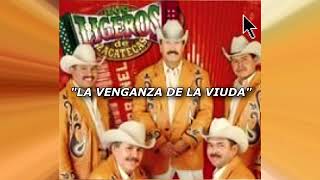 LOS LIGEROS DE ZACATECAS MIX 10 EXITOS PEGADITOS [upl. by Yemrej918]