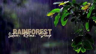 Rainforest Sounds For Relaxing amp Deep Sleep [upl. by Sanferd]