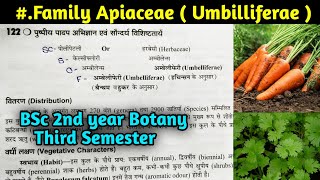 Family Apiaceae in hindi  Family Umbilliferae BSc 2nd year Botany Third Semester [upl. by Mali486]