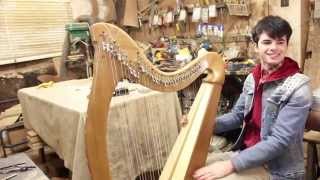 Fiachra  The Last Harp Planxty Shane Ó Meachair [upl. by Htenywg]