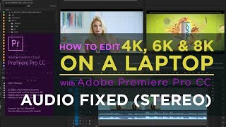 How to Create Proxies in Adobe Premiere Pro to edit 4k and 6K Footage Realtime [upl. by Anoved107]