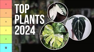 Top Houseplants of 20232024 RANKED [upl. by Enirak554]