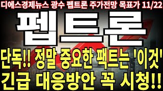 펩트론 주가전망 단독 정말 중요한 팩트는 이것 긴급 대응방안 꼭 시청 feat 디에스경제뉴스 광수 목표가 [upl. by Sirovaj370]