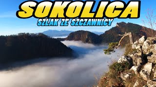 SOKOLICA Szlak ze Szczawnicy Jesienią  Sokolica Mountain Hiking Trail  Pieniny  Poland 4k [upl. by Neenej]