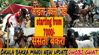 Okhla Bakra Mandi Dhobi Ghat New Update  Batla House Dhobi Ghat 2021  New Price Update Dhobi Ghat [upl. by Notnel832]