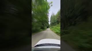 Driving in the forest  Quarry Road Coquitlam forest woods trees scenicdrive scenicroad [upl. by Yssenhguahs95]