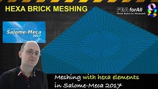 Salome Meca Tutorial Meshing with Hexa Elements [upl. by Acinoda54]