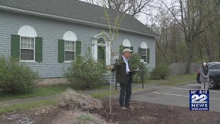 Tree planting ceremony held at Storrs Library [upl. by Millman813]