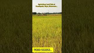 Agriculture Land Sale in Pusalapadu Wyra Khammam khammam agriculture farmland sale wyra [upl. by Ellac]