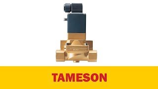 Burkert Solenoid Valve Type 5282  Tameson [upl. by Haines]