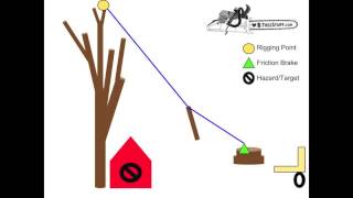 Tree Rigging  Speedline Basics  TreeStuffcom Arborist 101 [upl. by Aiden]