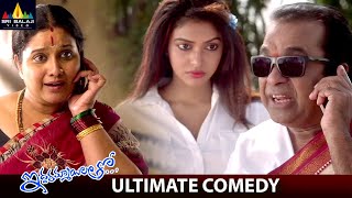 Brahmanandams Ultimate Comedy  Iddarammayilatho  Telugu Movie Scenes  Allu Arjun Amala Paul [upl. by Moersch]