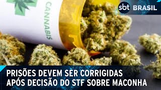 CNJ faz pentefino para corrigir prisões após decisão do STF sobre maconha  SBT Brasil 270624 [upl. by Mitchiner299]