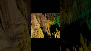 Stalagmites amp Stalactites at Florida Caverns State Park cave shorts [upl. by Devehcoy]