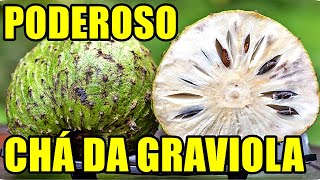 CHA DA GRAVIOLA CONTROLA SUA HEMOGLOBINA GLICADA AÃ‡UCAR NO SANGUE AJUDA NA DISGESTÃƒO PARASITAS [upl. by Langelo]