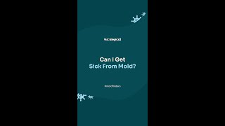 Can I get sick from mold [upl. by Ecidnac966]