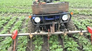 binage haricots verts 2014 avec quad jc [upl. by Amairam]