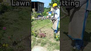 Lawn grass cutting lawn lawncare agriculture shorts [upl. by Rainah747]