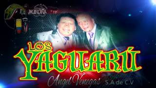 openings PRESENTACION VIDEO  GRUPO YAGUARU [upl. by Sparkie487]