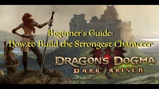 Dragons Dogma DA Remaster  Beginner Guide for Character Levels amp Stat Gains [upl. by Haynor]