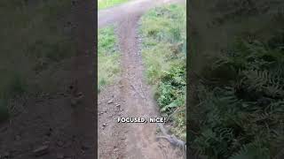 Ballo woods MTB 🙌 Full video on my channel mtb scotland singletrack mountainbikeroutes [upl. by Olpe]