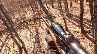 DEER RIFLE OPENER in PENNSYLVANIA BIG BUCK DOWN [upl. by Agueda449]