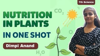 NUTRITION IN PLANTS  CLASS 7  ONE SHOT [upl. by Niarbo]