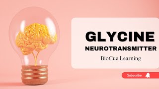 Glycine as a Neurotransmitter [upl. by Wendel]