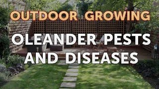 Oleander Pests and Diseases [upl. by Anoli]