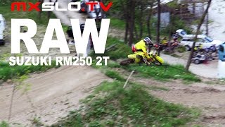 Pinned Suzuki RM250 RAW sound  2017 [upl. by Leugar335]