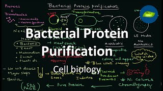 Bacterial Protein expression and Purification  Cell Biology  Basic Science Series [upl. by Ruffina]